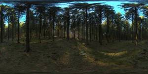 HDRI Dome: loc00146 - Professional HDRI environment for 3D rendering