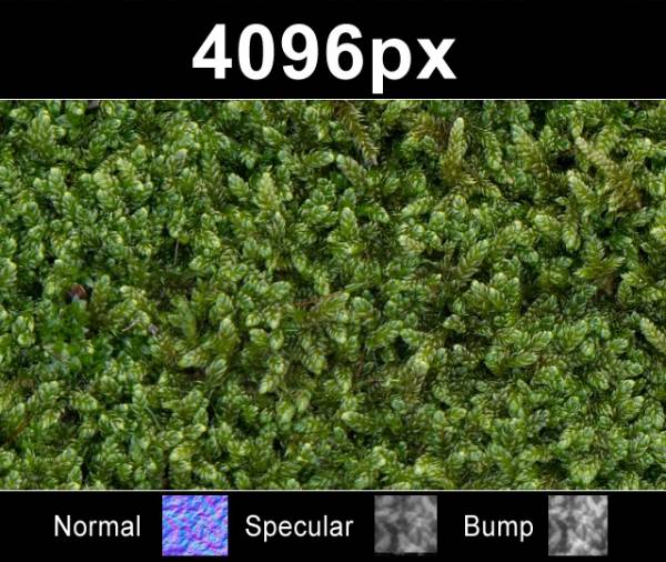 Moss 01